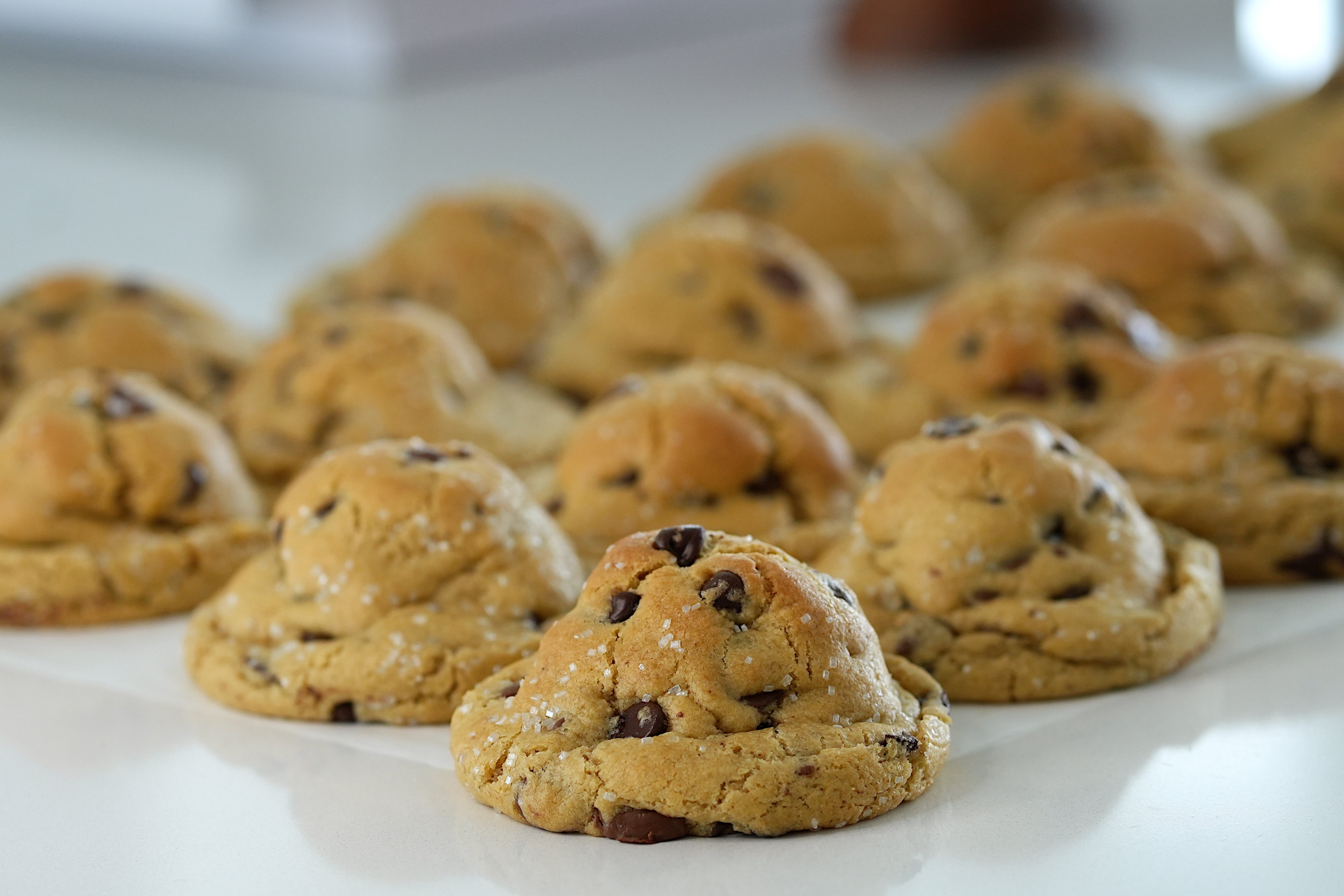 Sugarcoated Cookie Co. — photo from sugarcoatedcookieco.myshopify.com